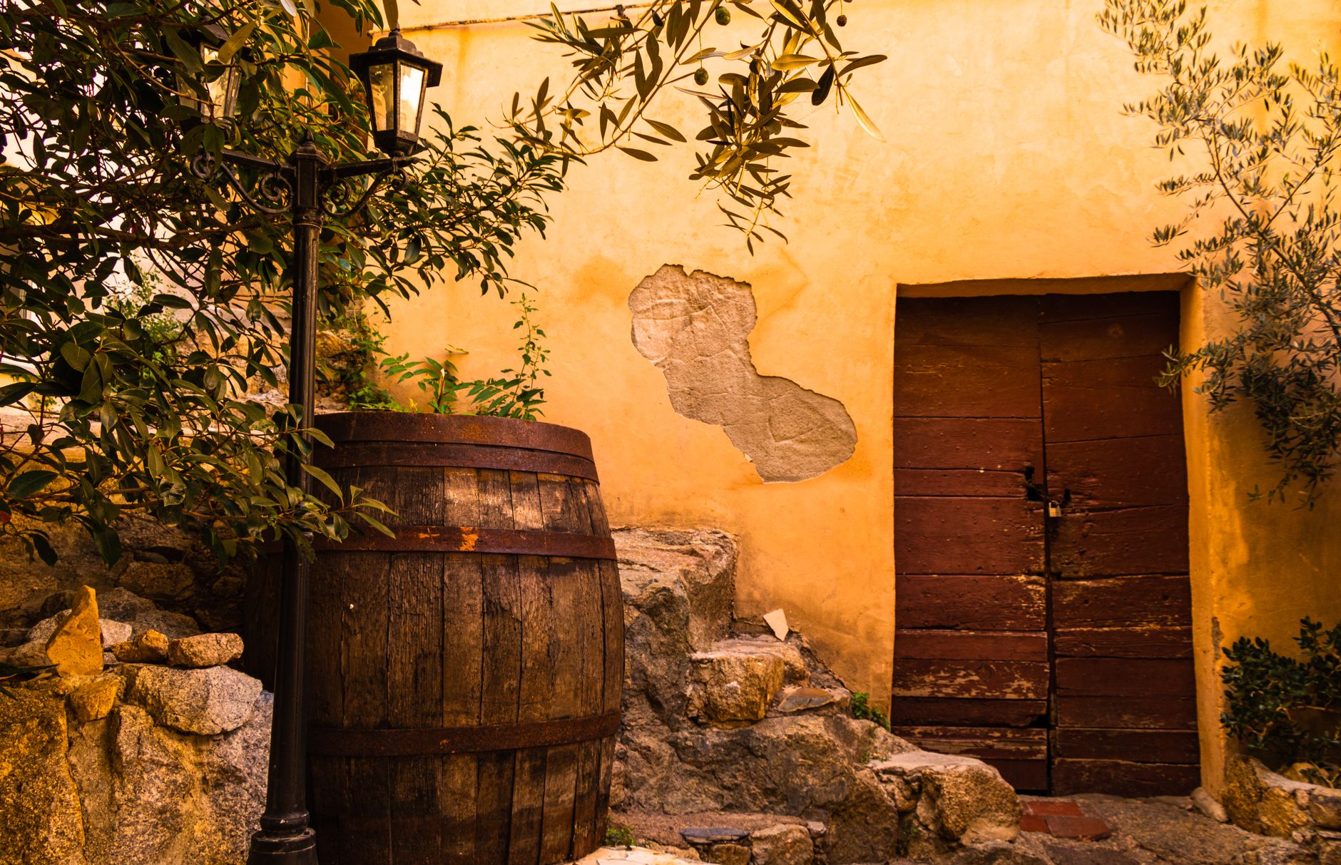 Castel Dell domaine Corse
