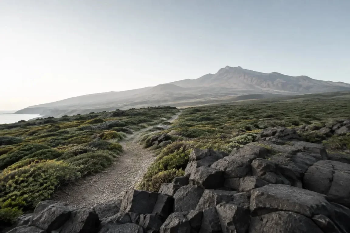 Paysage volcanique de Jeju avec le Hallasan et un sentier Olle